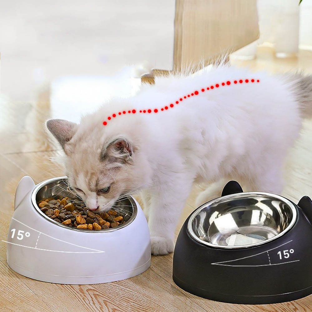 Dog Cat Bowl Cat Feeder 15 Degrees Raised Pet Food Drinker Bowls For Cats Dogs Stainless Steel Puppy Dog Bowl Pet Accessories · v2